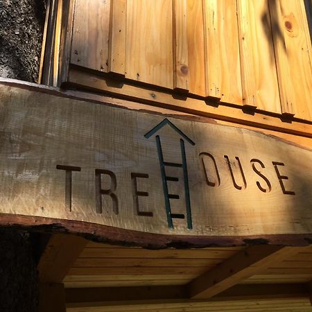 Tree House Alpinka Krvavec Cerklje na Gorenjskem Exterior foto