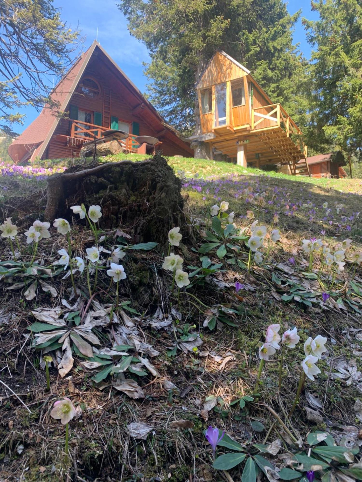 Tree House Alpinka Krvavec Cerklje na Gorenjskem Exterior foto